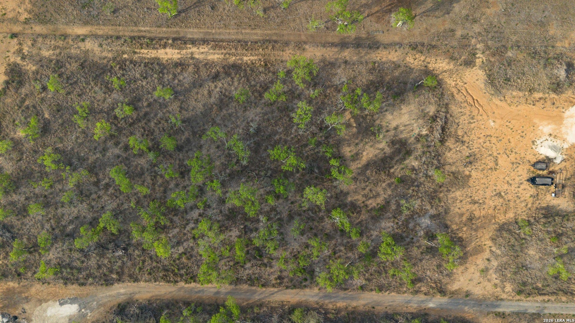 5.5 acres in Wilson County gallery image 4