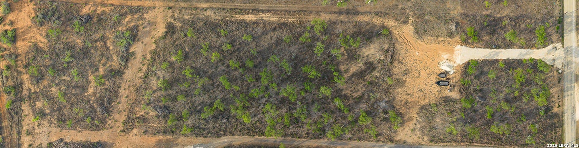 5.5 acres in Wilson County gallery image 2