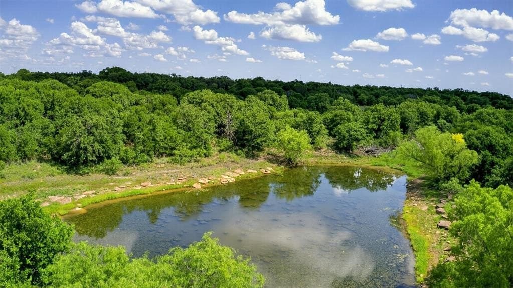 171 acres in Eastland County gallery image 4