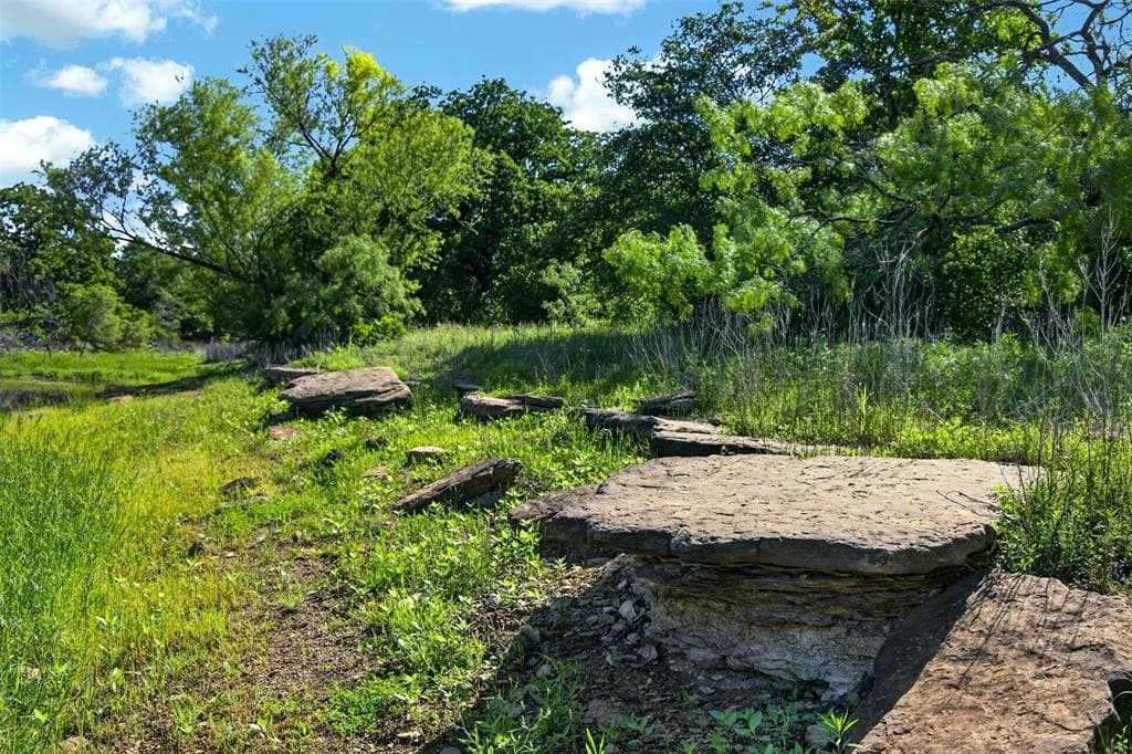 171 acres in Eastland County