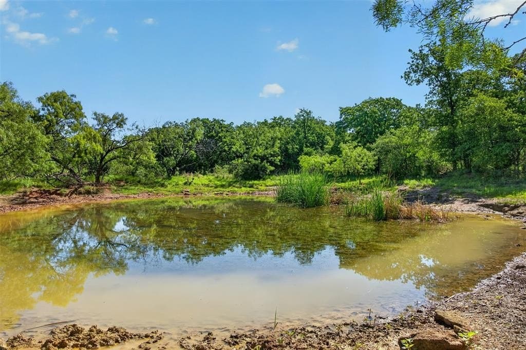 171 acres in Eastland County gallery image 2