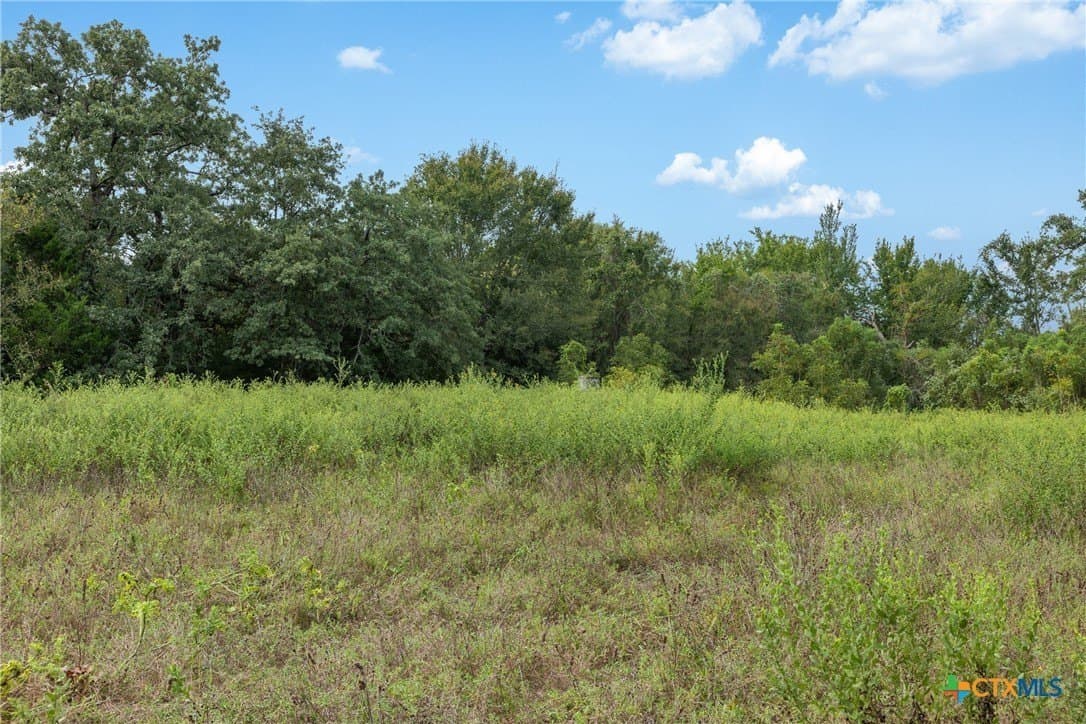 62.47 acres in Milam County - photo 13