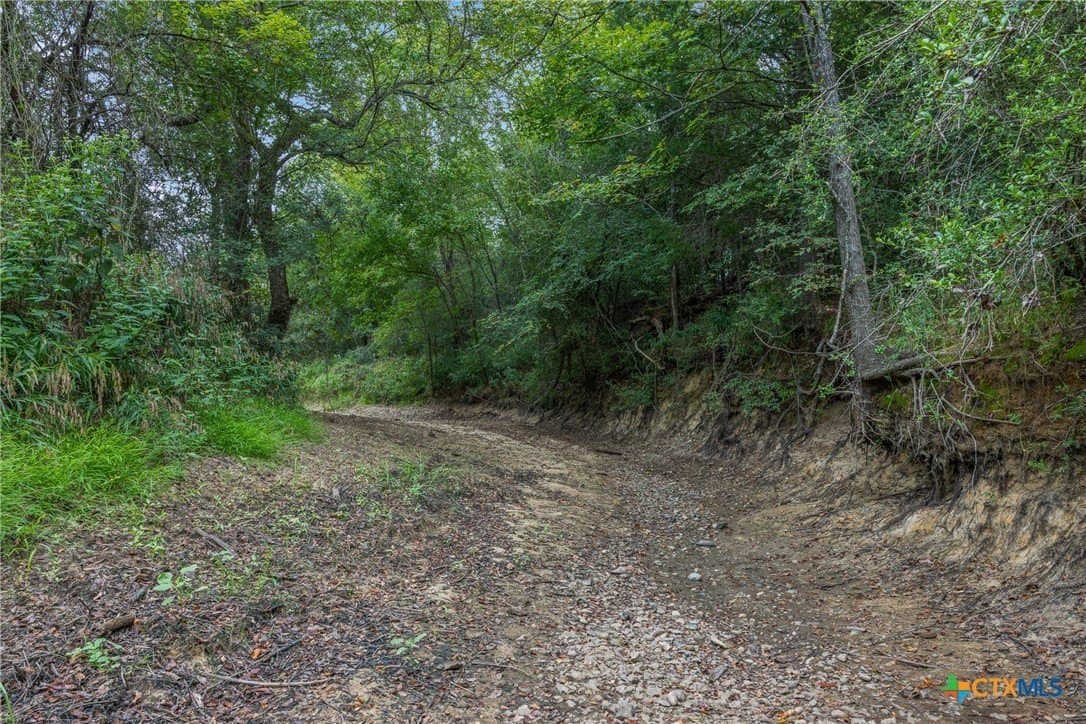 62.47 acres in Milam County - photo 12