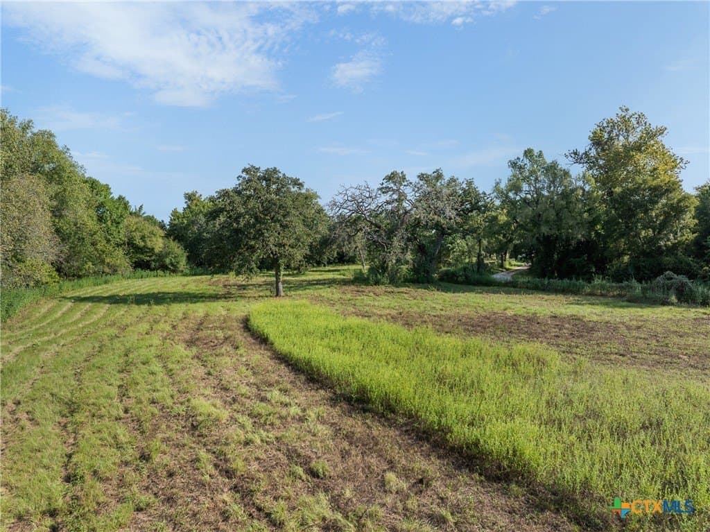 62.47 acres in Milam County - photo 2