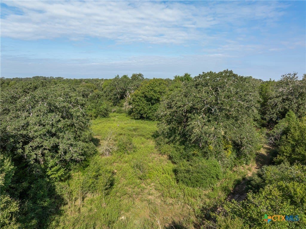 62.47 acres in Milam County - photo 9