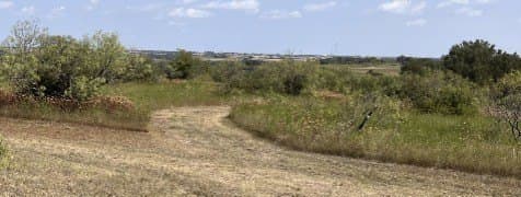 23.25 acres in Comanche County - photo 20