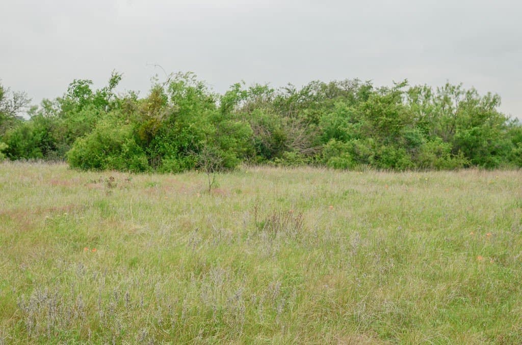 23.25 acres in Comanche County - photo 13