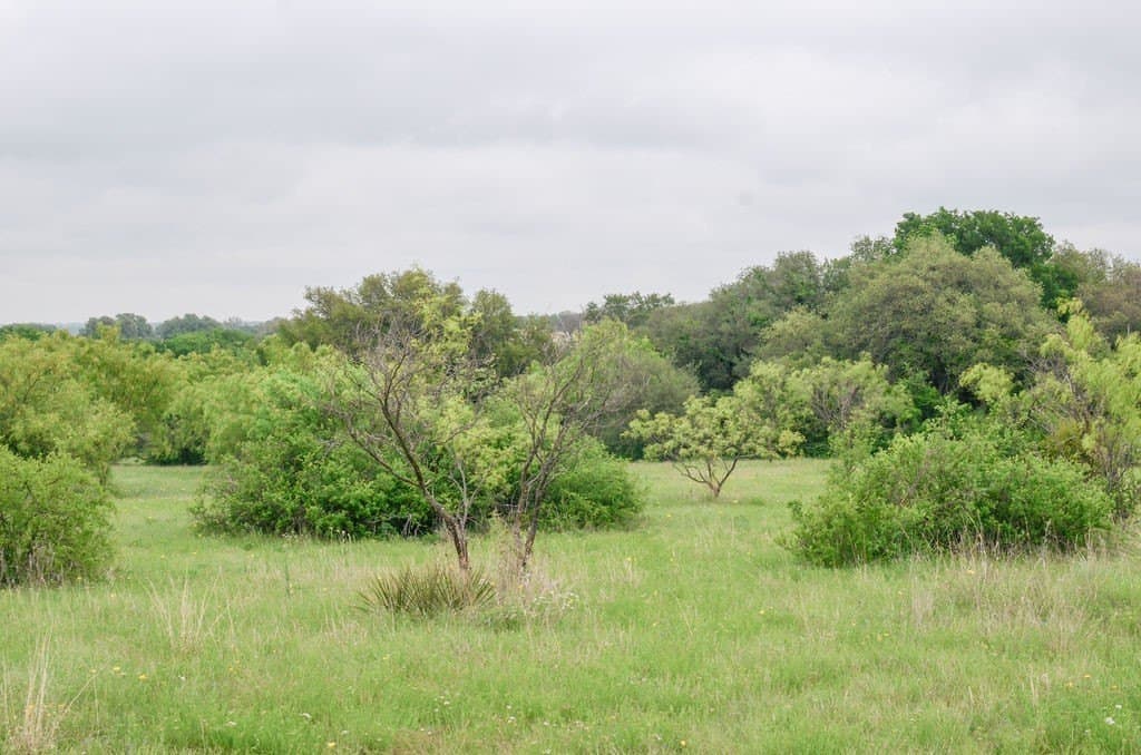 23.25 acres in Comanche County - photo 18