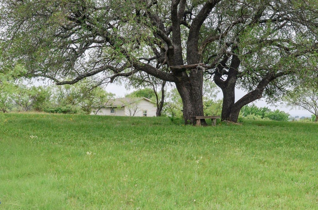 23.25 acres in Comanche County - photo 17