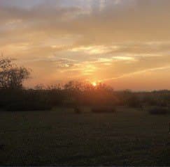 23.25 acres in Comanche County - photo 22