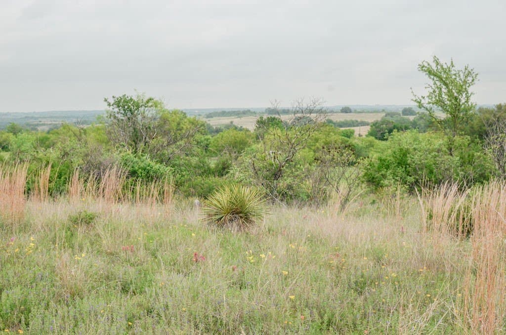 23.25 acres in Comanche County - photo 14