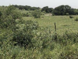 23.25 acres in Comanche County - photo 19