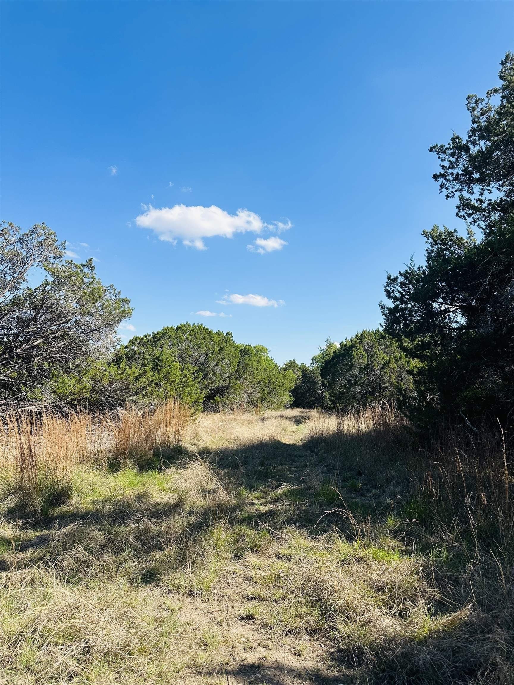 35.38 acres in Burnet County gallery image 2