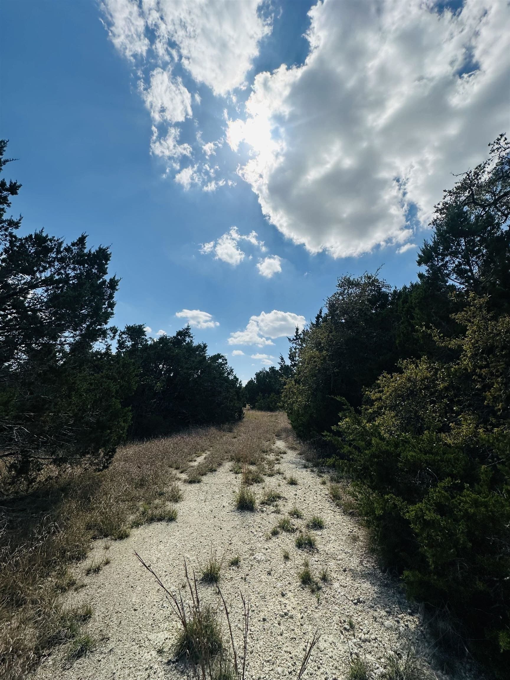 35.38 acres in Burnet County gallery image 3
