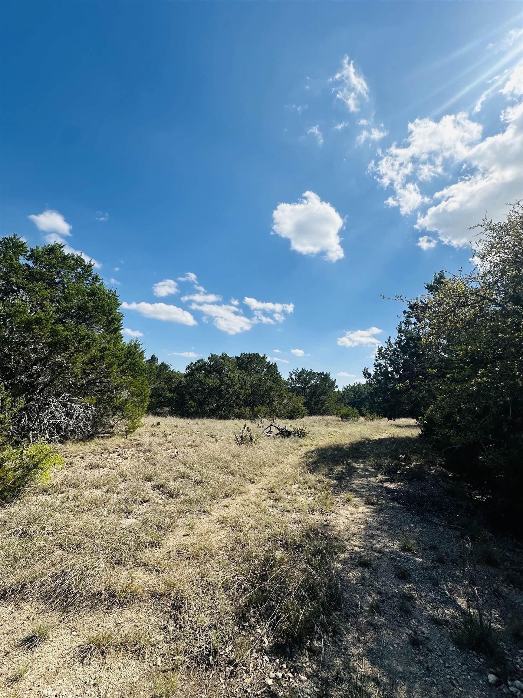 35.38 acres in Burnet County - photo 7
