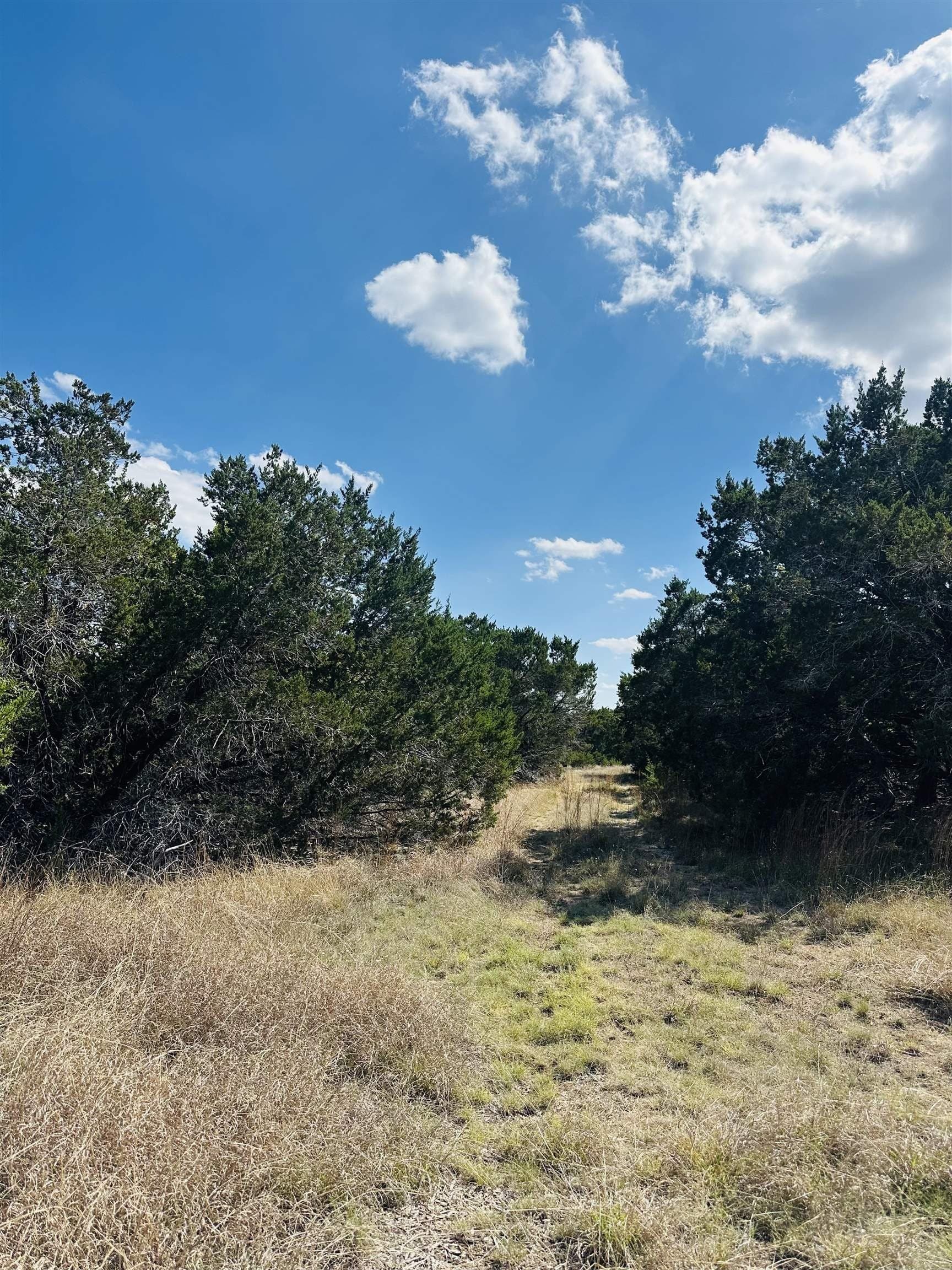 35.38 acres in Burnet County - photo 10