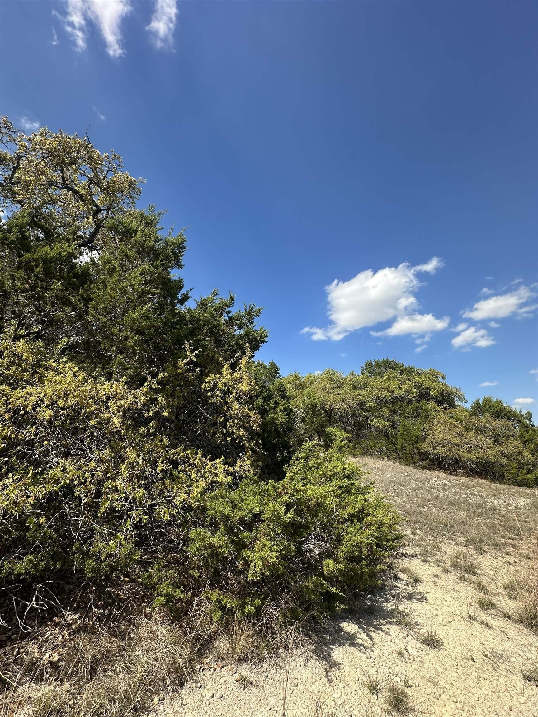 35.38 acres in Burnet County - photo 9
