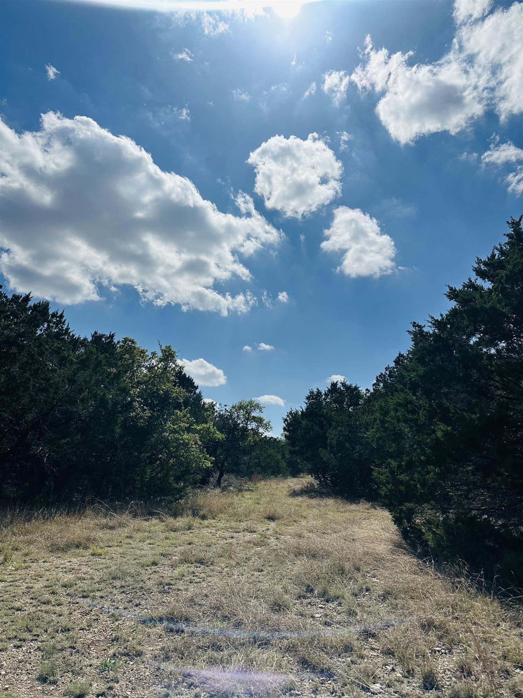 35.38 acres in Burnet County gallery image 4