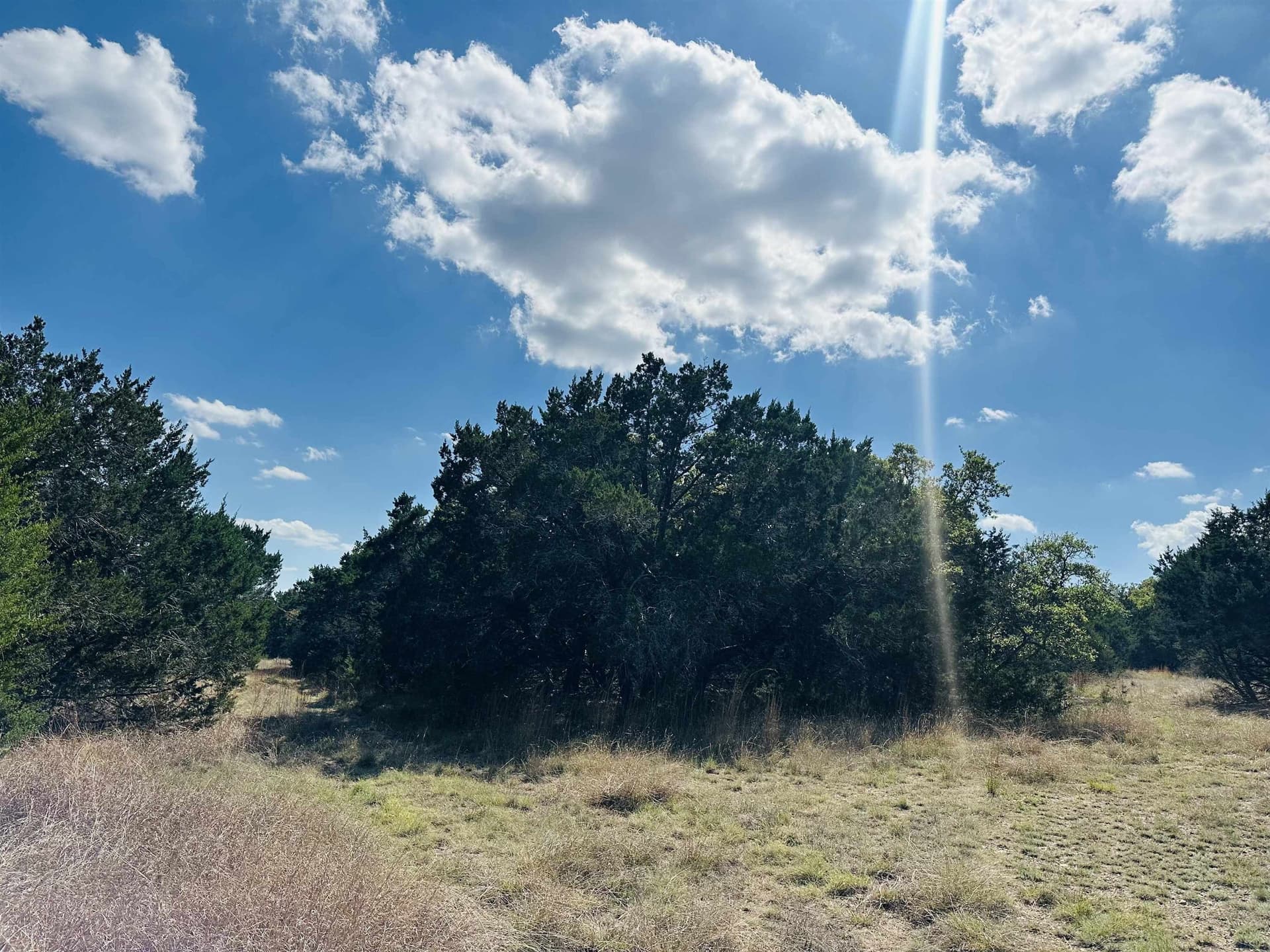 35.38 acres in Burnet County - photo 6
