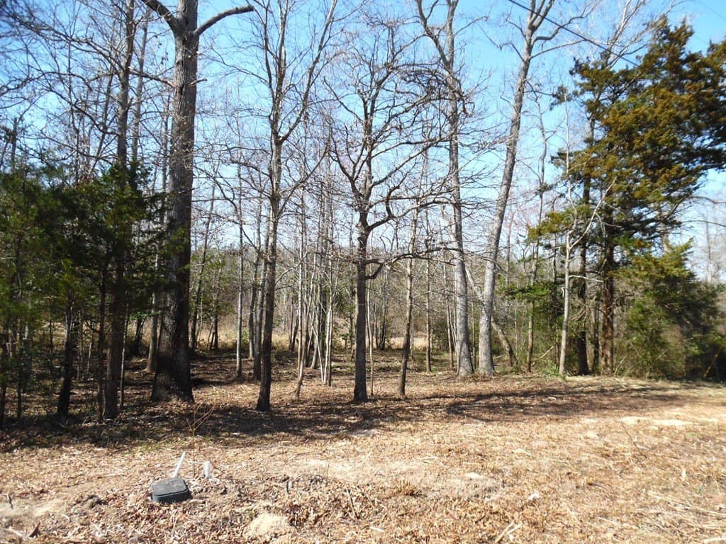 0.17 acres in Van Zandt County featured view