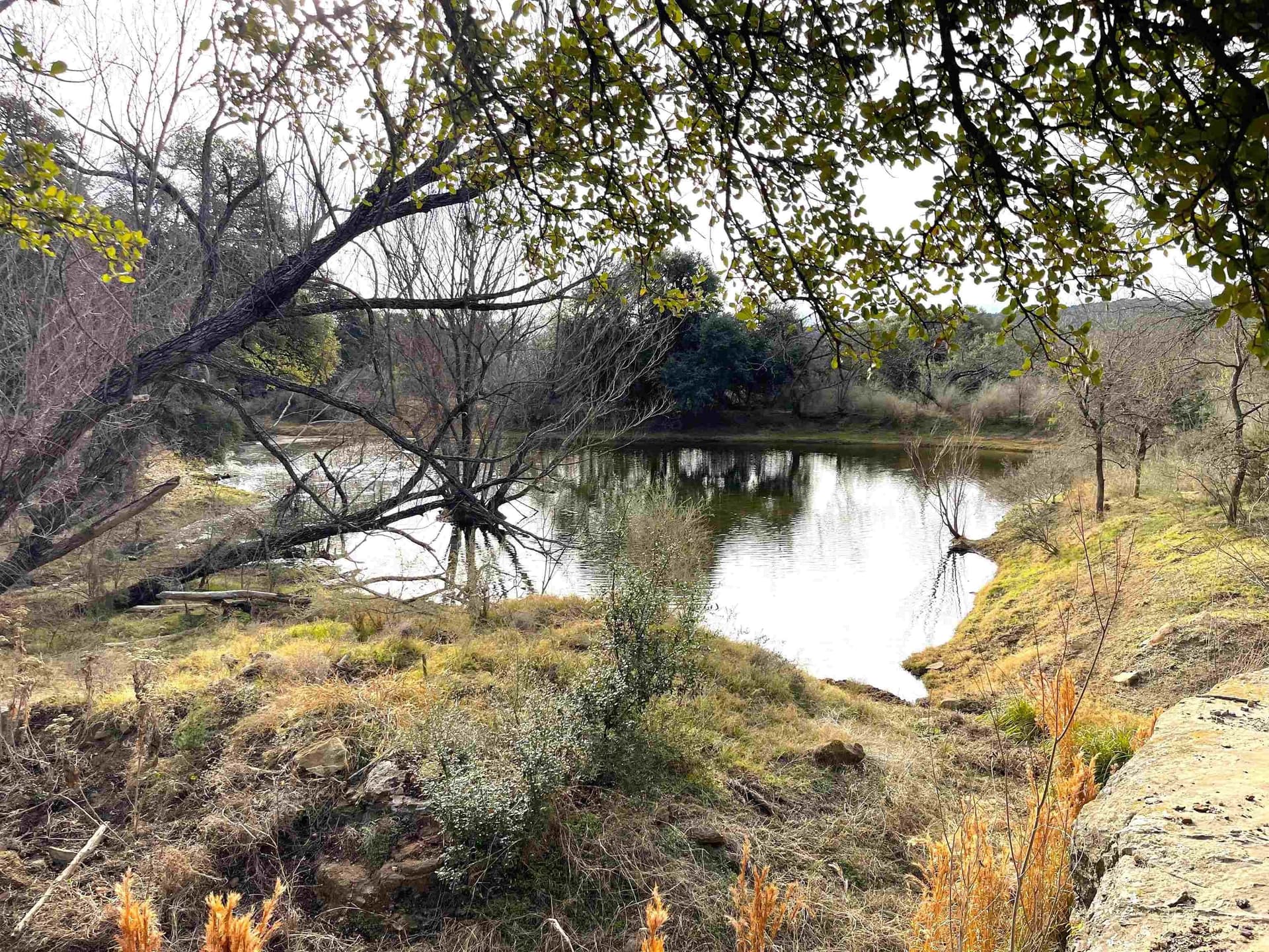 91.6 acres in San Saba County