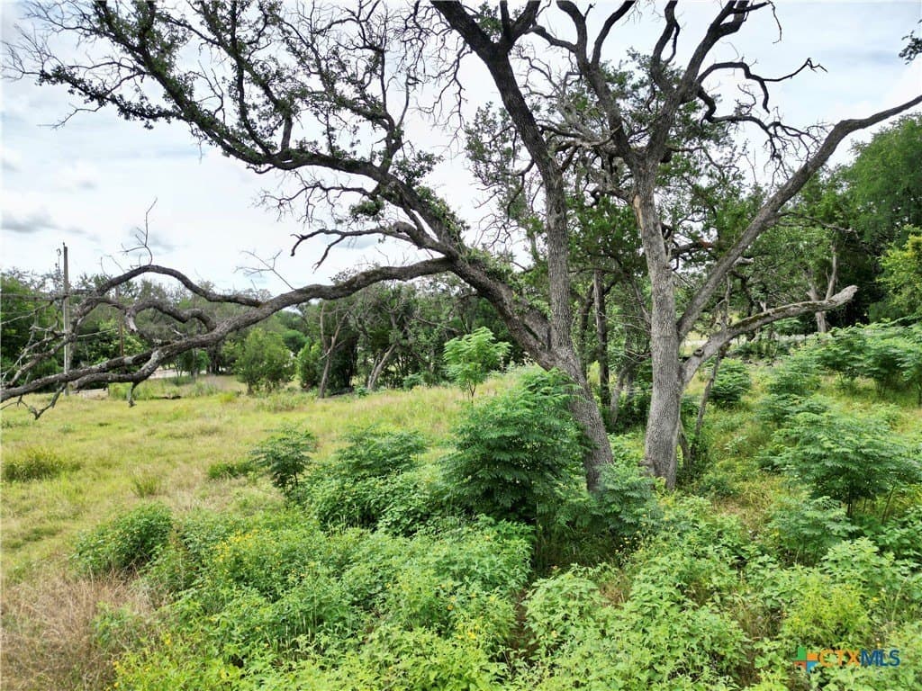0.35 acres in Bell County gallery image 4