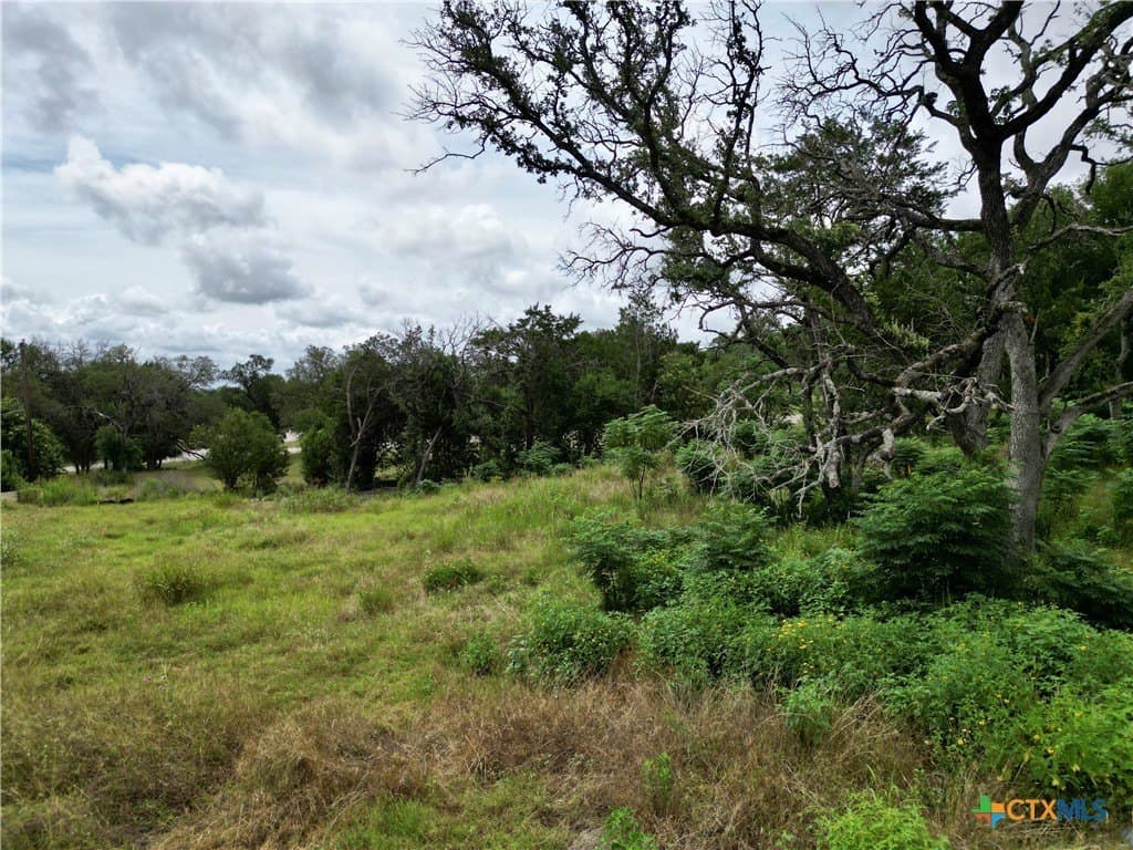 0.35 acres in Bell County gallery image 3