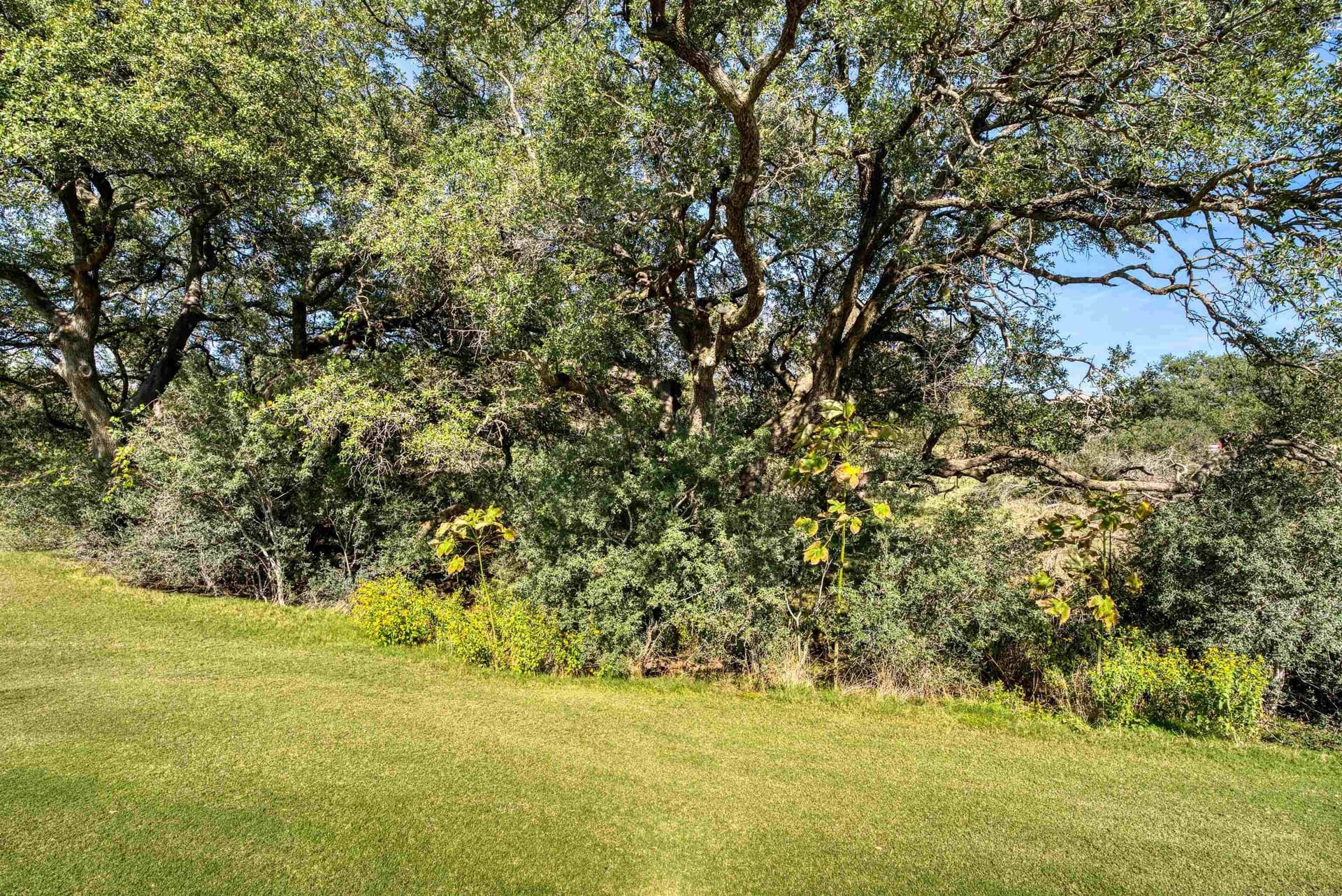 0.71 acres in Llano County - photo 11