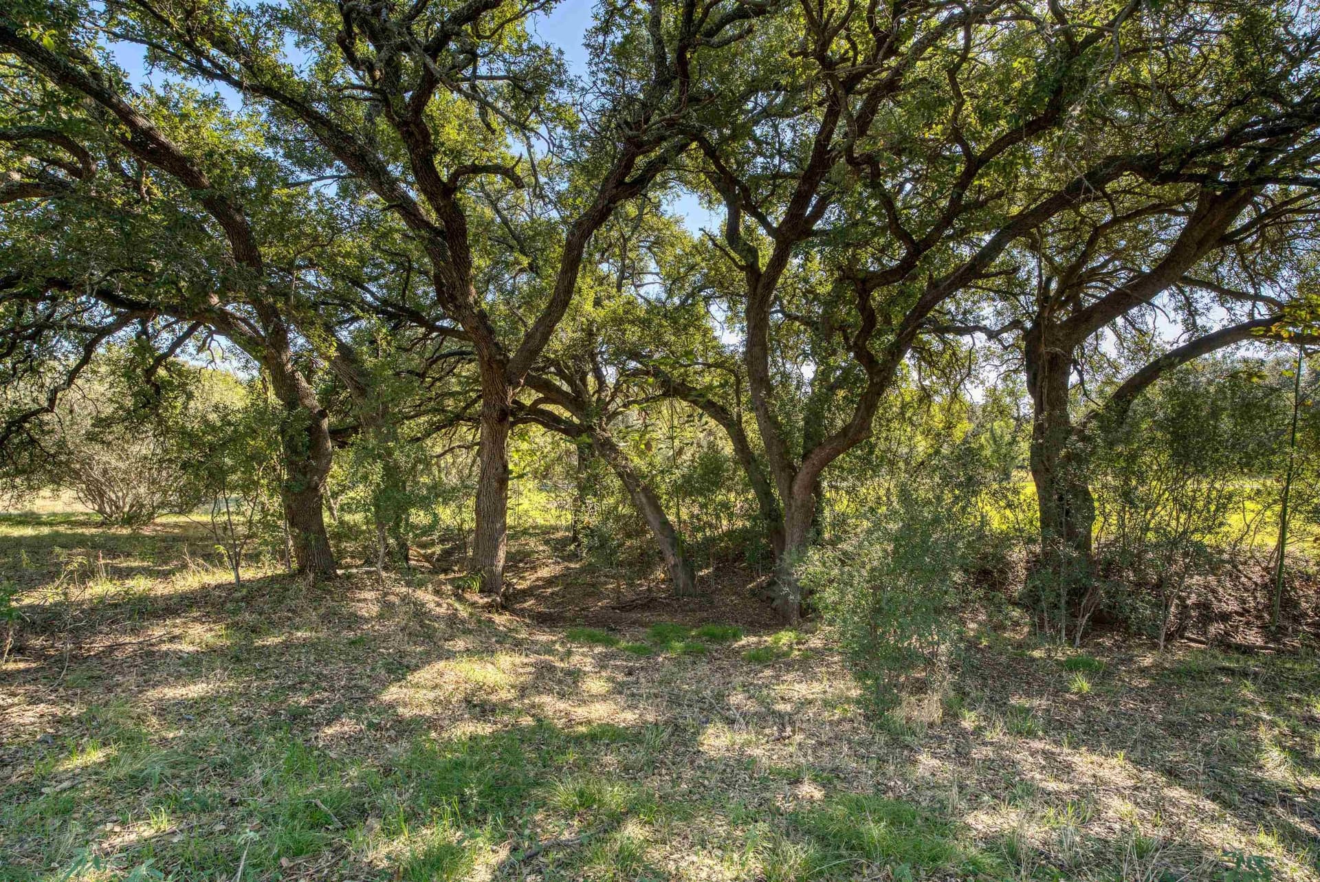 0.71 acres in Llano County - photo 7