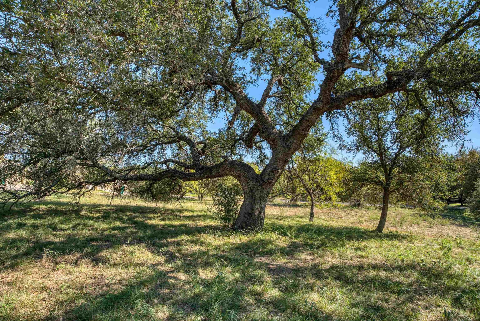 0.71 acres in Llano County - photo 6