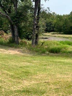 21.2 acres in Van Zandt County - photo 14
