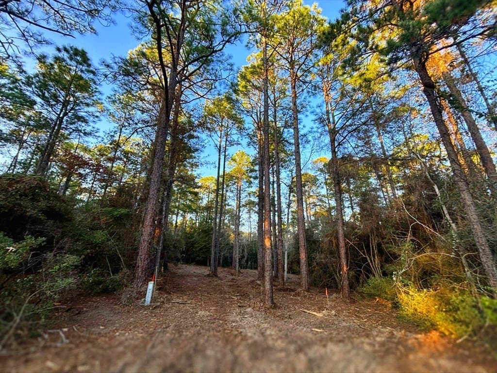 0.18 acres in Texas County gallery image 3