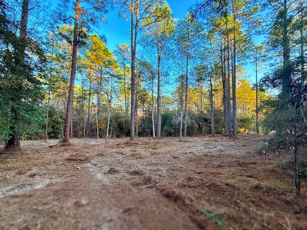 0.18 acres in Texas County