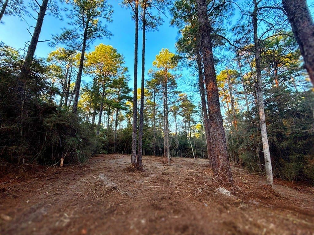 0.18 acres in Texas County gallery image 2