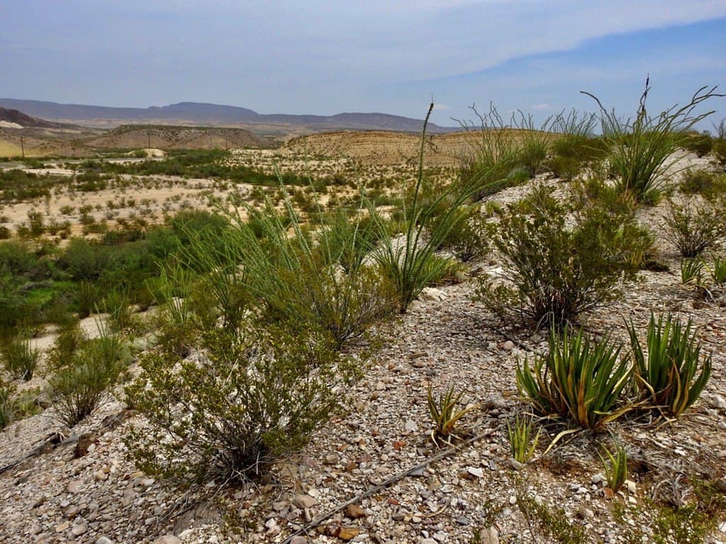 3.37 acres in Brewster County - photo 24