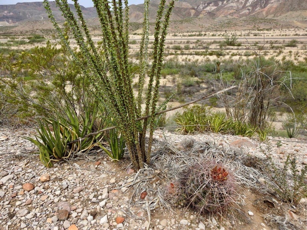 3.37 acres in Brewster County - photo 23
