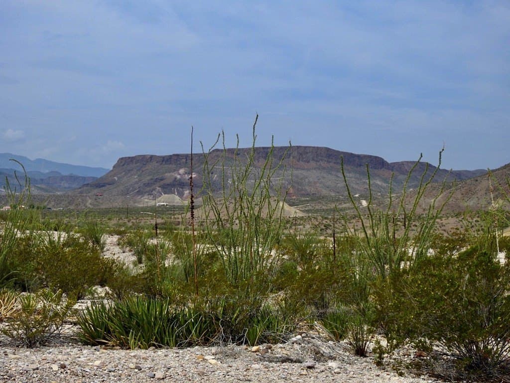 3.37 acres in Brewster County - photo 9