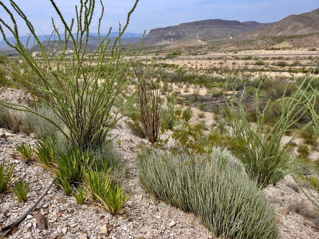 3.37 acres in Brewster County - photo 19