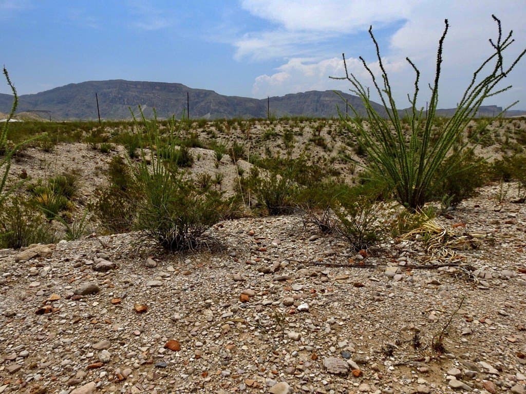 3.37 acres in Brewster County - photo 22