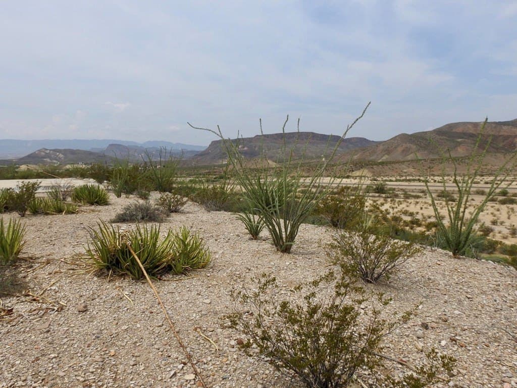 3.37 acres in Brewster County - photo 20