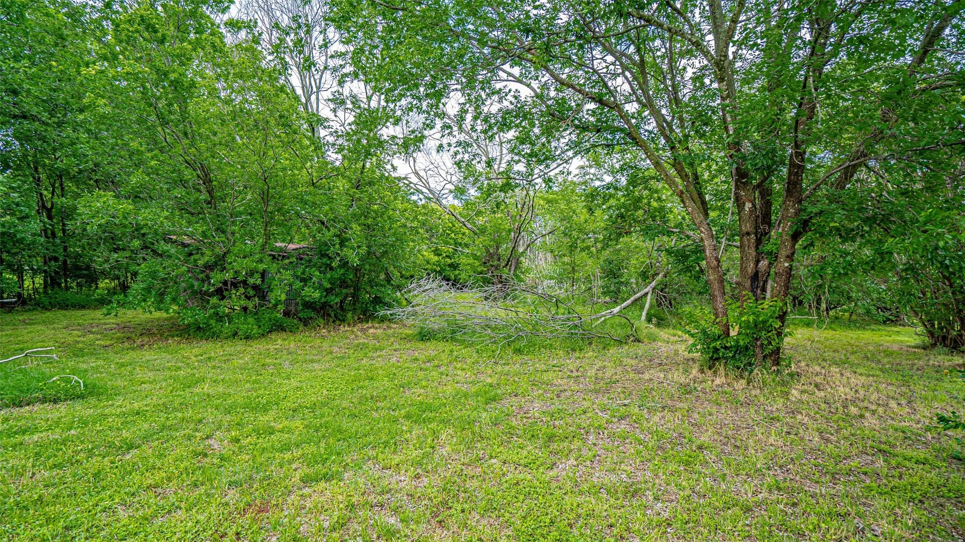 0.35 acres in Erath County - photo 29