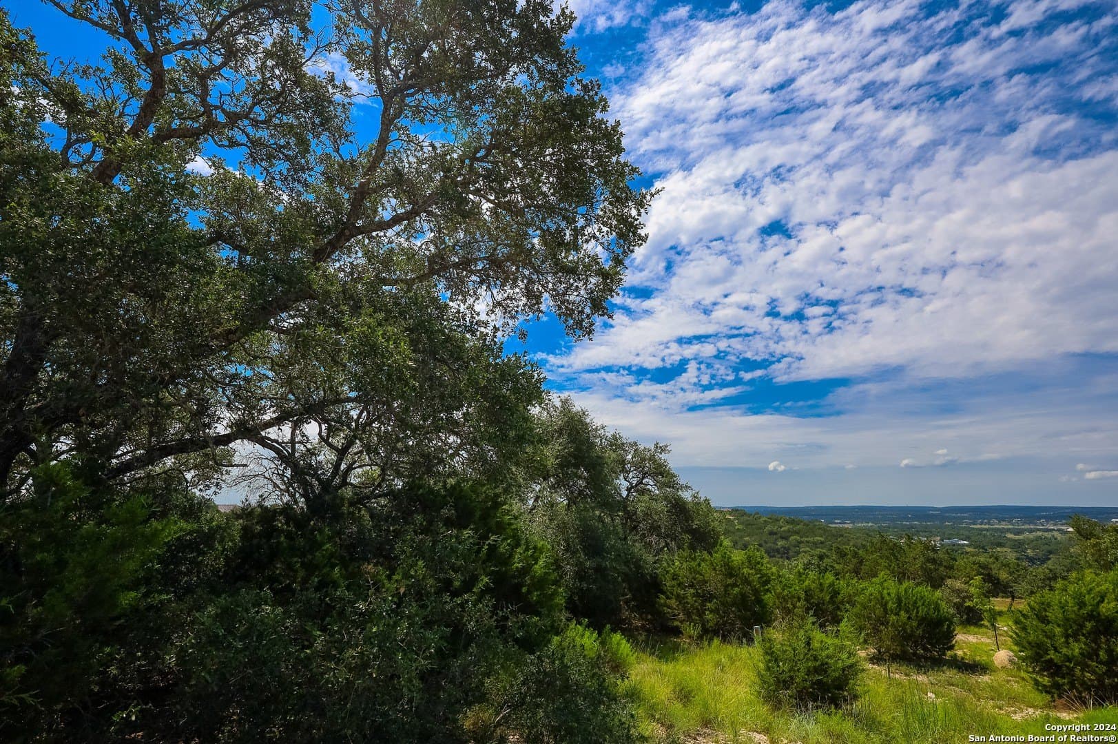 2.17 acres in Comal County - photo 20
