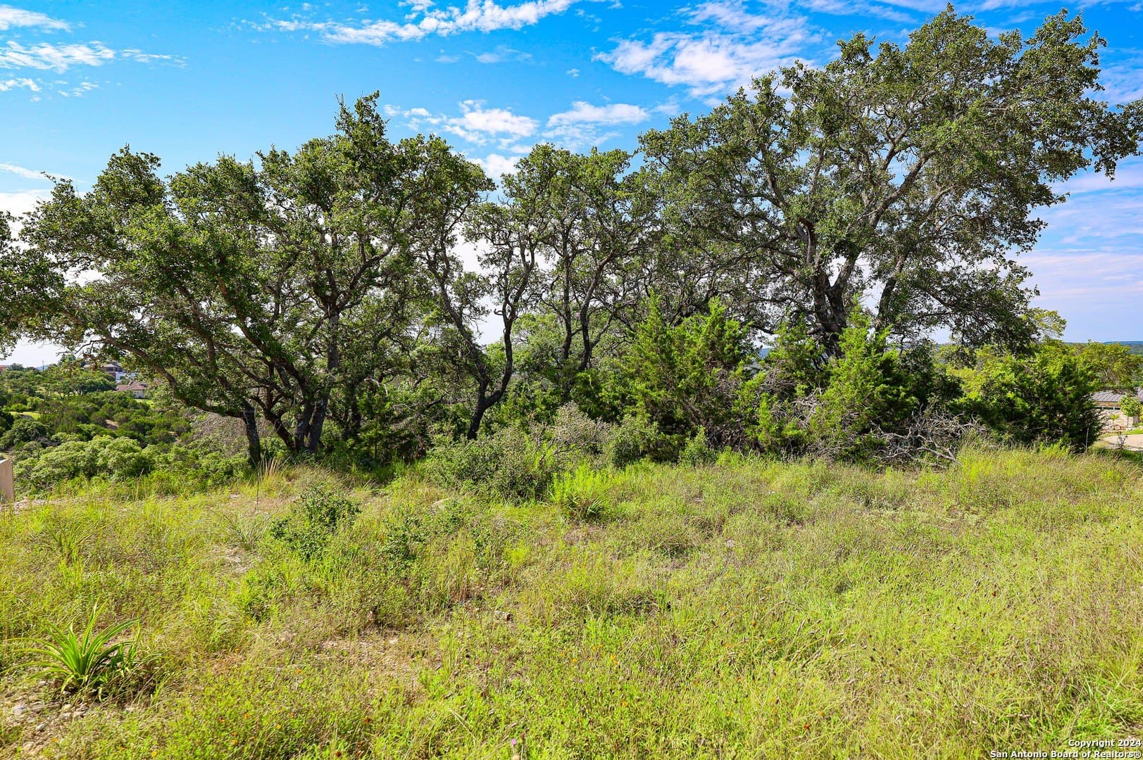 2.17 acres in Comal County - photo 19