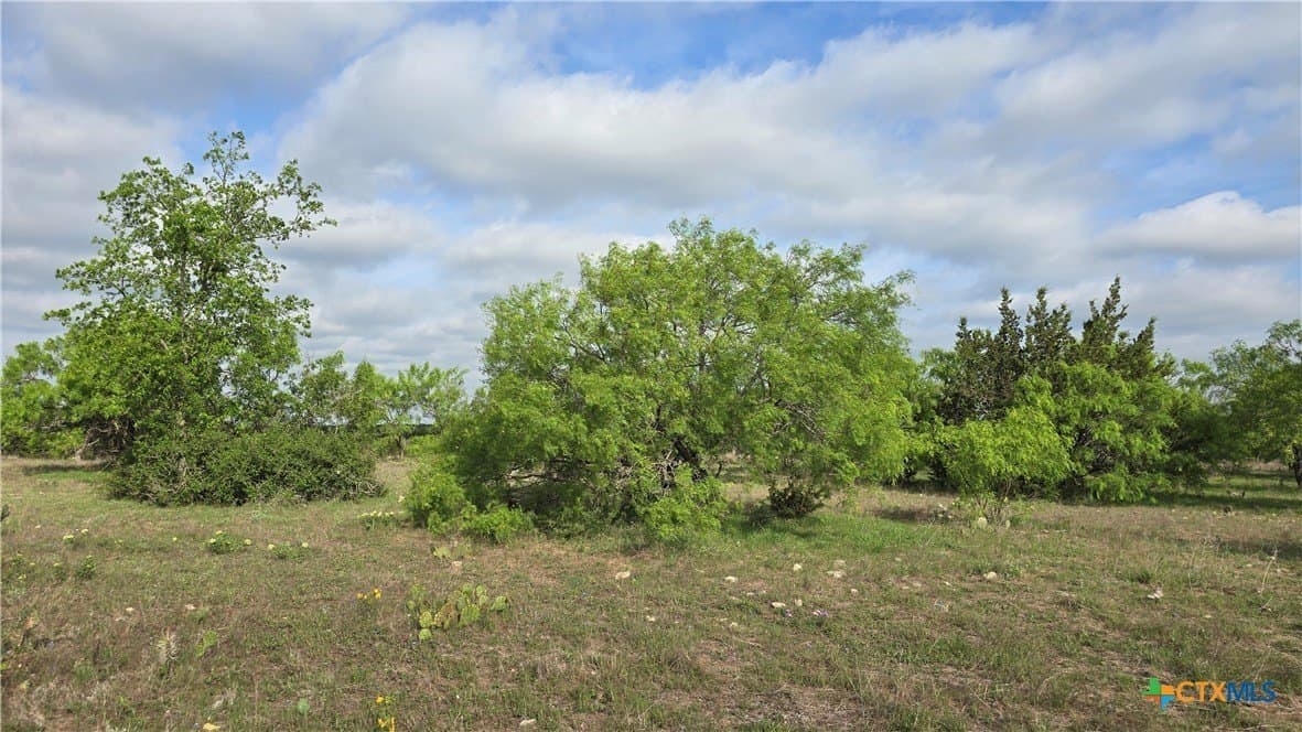 10.1 acres in Coryell County gallery image 3