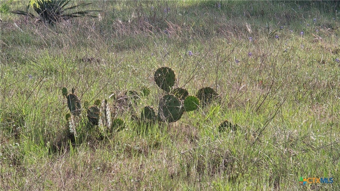 10.1 acres in Coryell County featured view