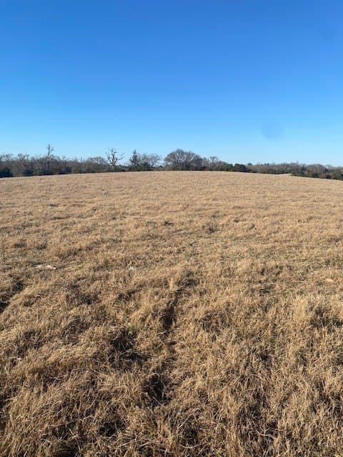 58.97 acres in Leon County - photo 13