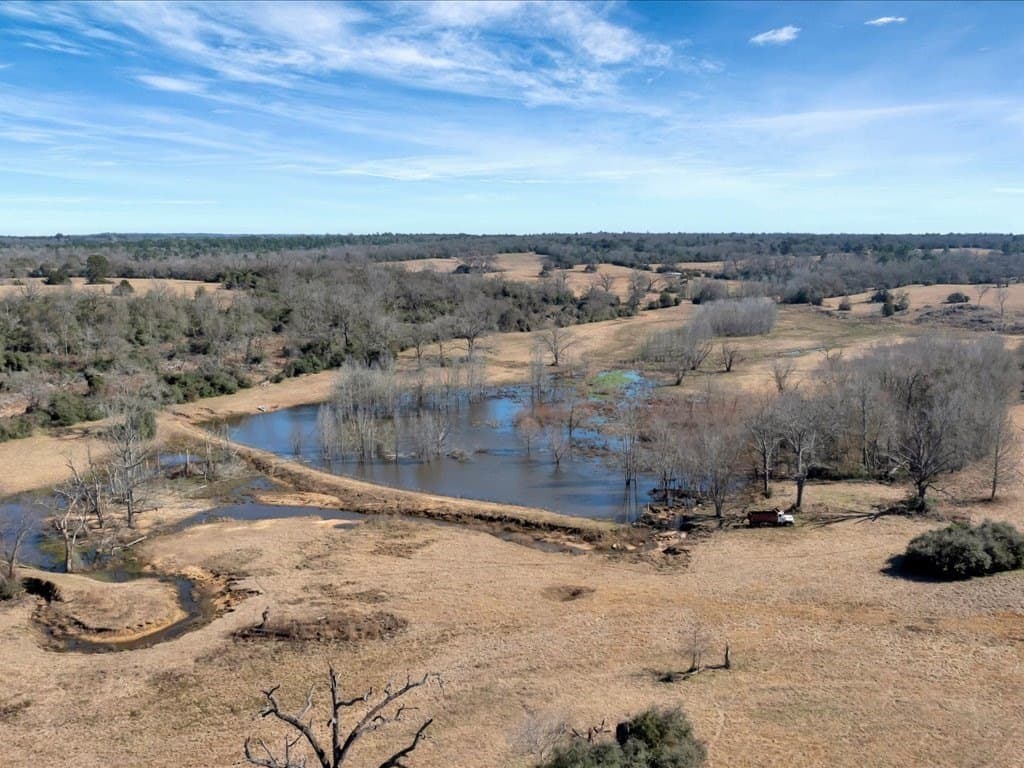 58.97 acres in Leon County - photo 2