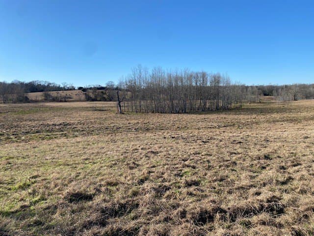 58.97 acres in Leon County - photo 10