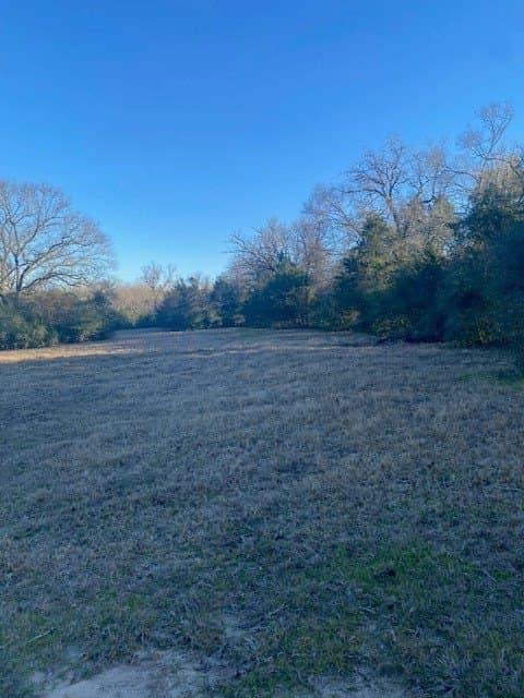 58.97 acres in Leon County - photo 15