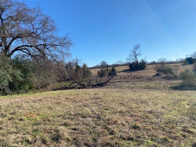 58.97 acres in Leon County - photo 8
